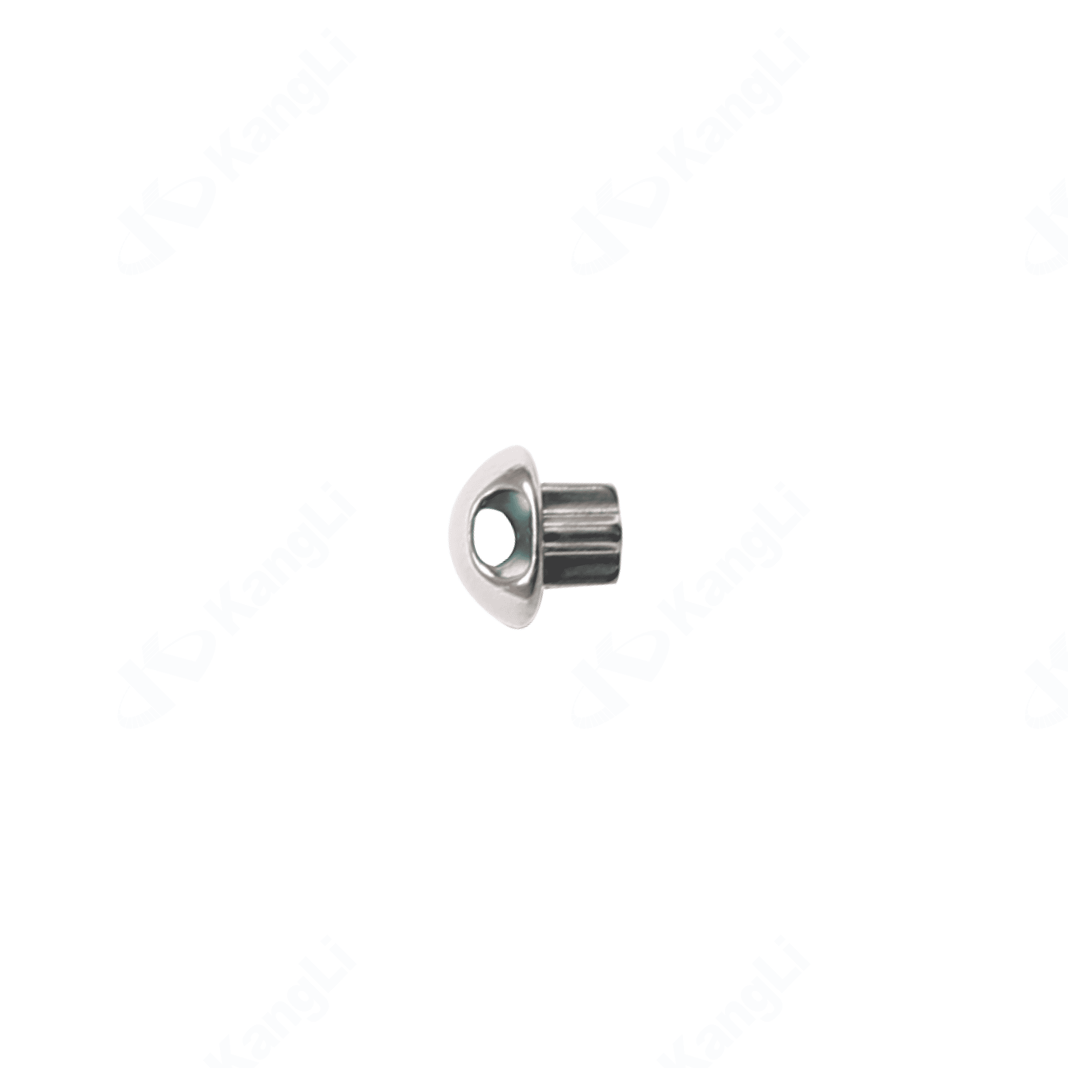 Titanium Mesh and Cover (Treillis en Titane) – Image 2