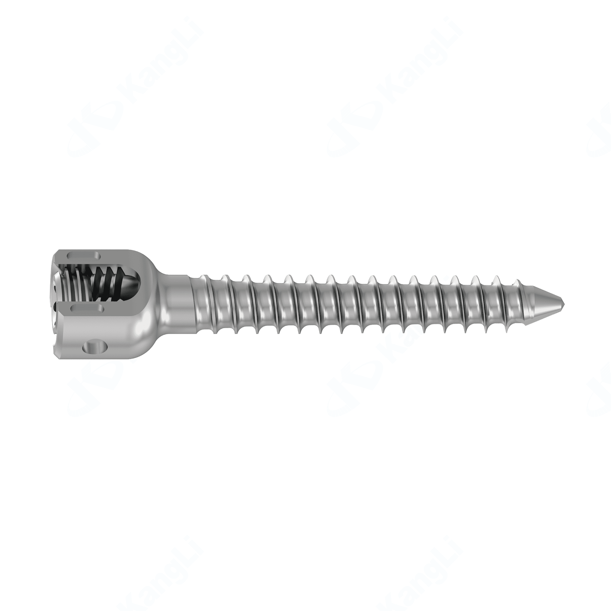 KSS-II 5.5 Spinal Fixation System - Posterior Fixation – Image 2